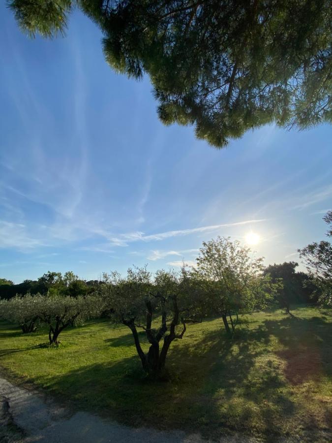 Studio Climatise Dans Un Ancien Domaine Viticole Montpellier Bagian luar foto